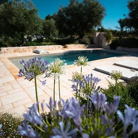 Trulli Ad Maiora * Αλμπερομπέλο