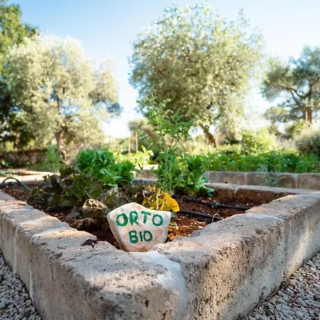 Trulli Ad Maiora Βίλα Αλμπερομπέλο