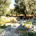 Trulli Ad Maiora