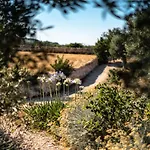 Trulli Ad Maiora *