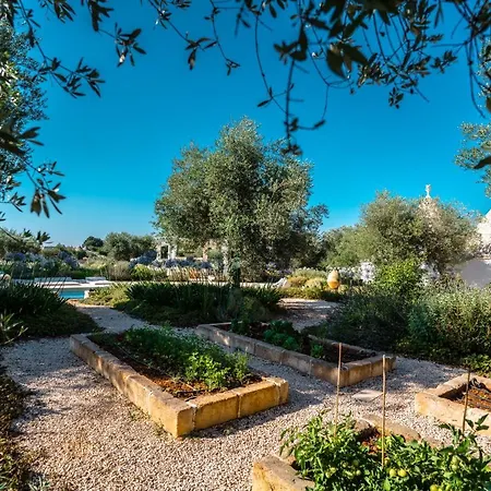 Trulli Ad Maiora *