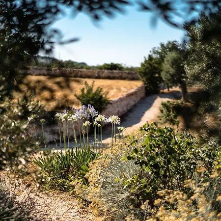 Trulli Ad Maiora *
