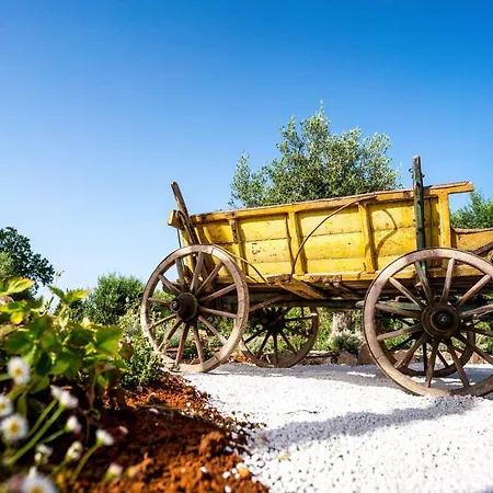 Trulli Ad Maiora *