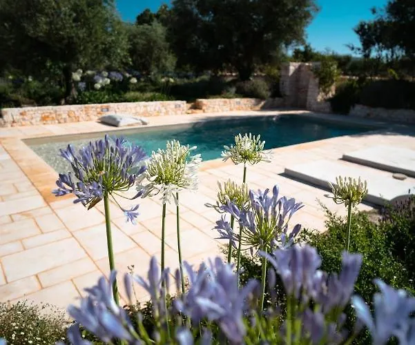 Trulli Ad Maiora * 알베르벨로